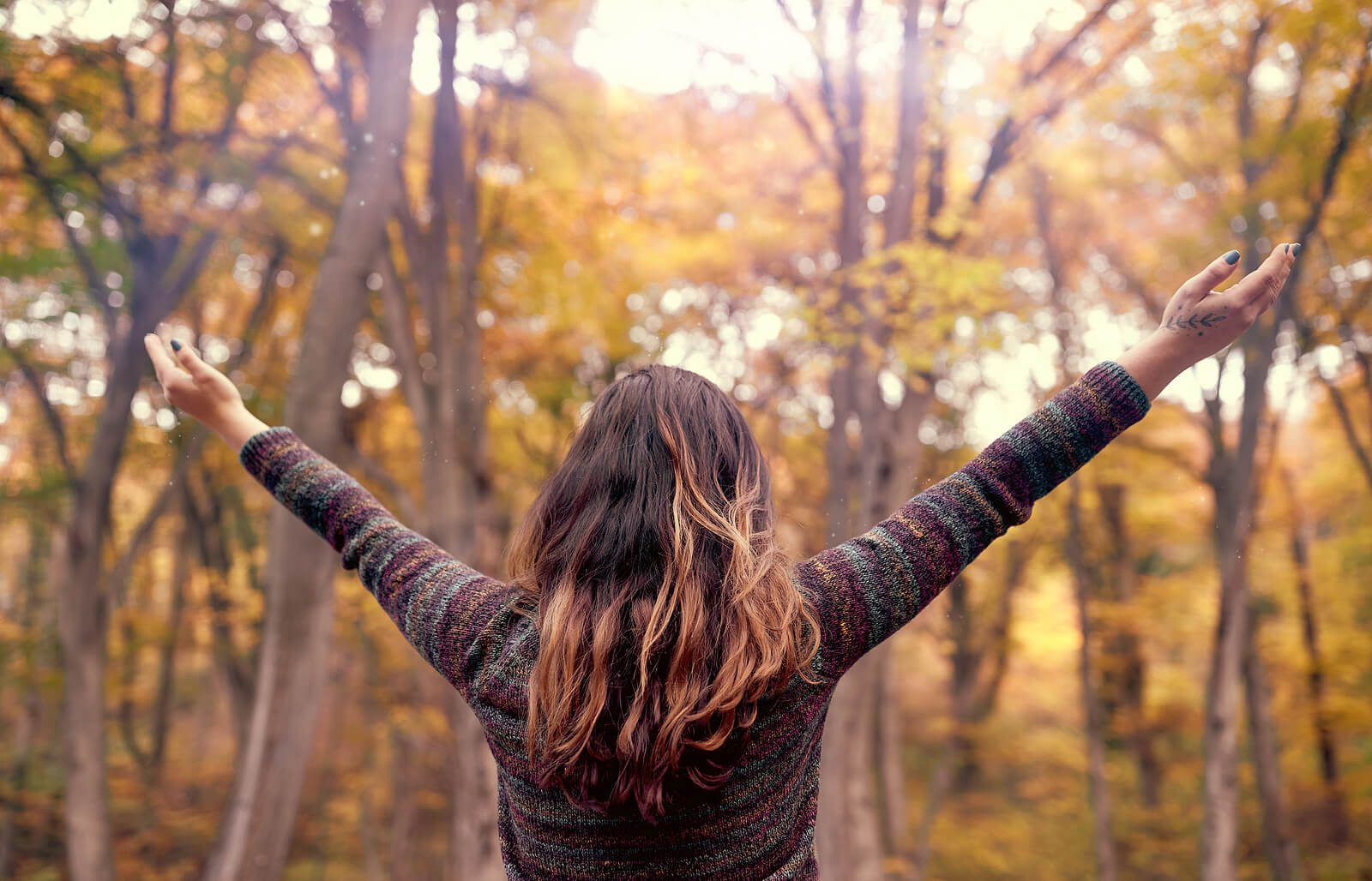 Image of a happy woman standing in the forest with her arms stretched out toward the sky. Protect your well-being during the holidays with the support of trauma therapy in South Jersey and create boundaries that work for you.