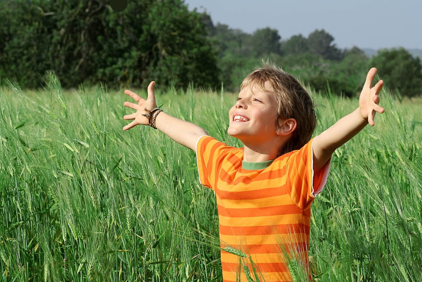 Happy boy standing in a field on a sunny day raising his arms above his head. See your child overcome emotional development challenges with support with therapy for children in South Jersey.