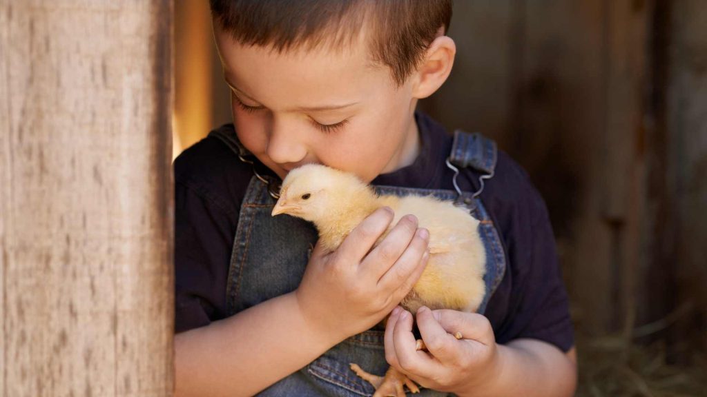 Childlike Care Supersensers Kids Big Feelings