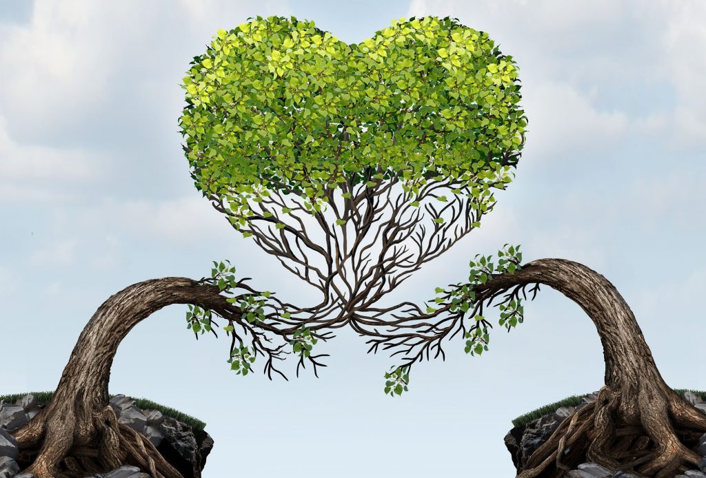 Tree branches coming together to make a heart. Learn about Healthy Relationships with a Couples Therapist in New Jersey here.